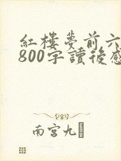 红楼梦前六十回800字读后感