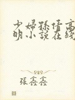 少妇孙倩高义李明小说在线阅读