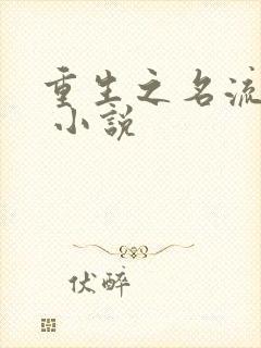 重生之名流巨星 小说