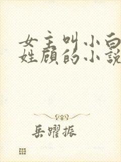 女主叫小白男主姓顾的小说
