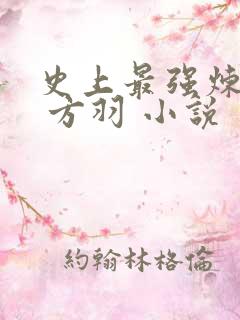 史上最强炼气期 方羽 小说