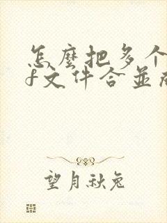 怎么把多个pdf文件合并成一个压缩包