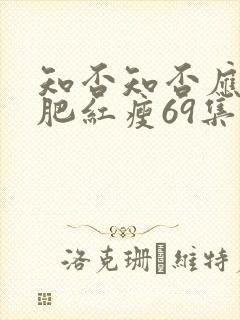 知否知否应是绿肥红瘦69集