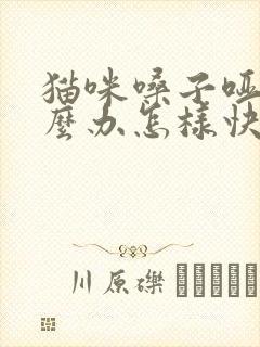 猫咪嗓子哑了怎么办怎样快速恢复