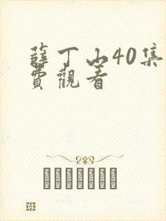 薛丁山40集免费观看