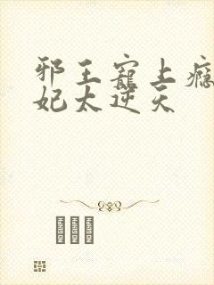 邪王宠上瘾,爱妃太逆天