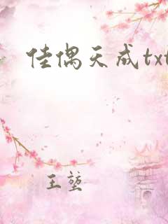佳偶天成txt