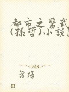 都市之医武双修(孙哲)小说阅读