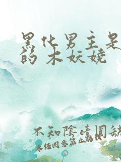 黑化男主是重生的 木妖娆