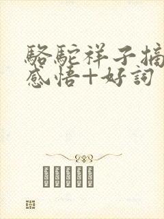 骆驼祥子摘抄+感悟+好词