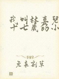 我叫林喜儿今年十七岁的小说在线阅读