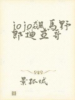 jojo飙马野郎迪亚哥