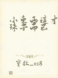 小东西这才一颗珠子而已