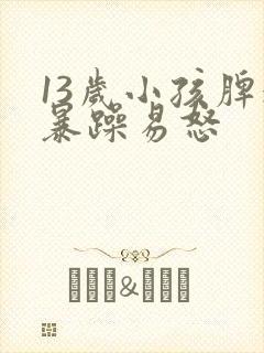 13岁小孩脾气暴躁易怒