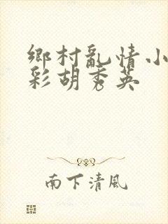 乡村乱情小雷小彩胡秀英