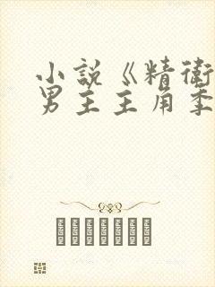 小说《精卫》双男主主角季迟金蔚