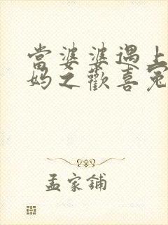 当婆婆遇上的妈妈之欢喜冤家