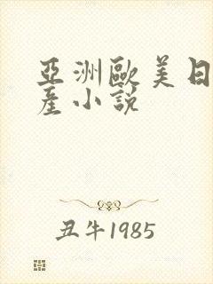 亚洲欧美日韩国产小说