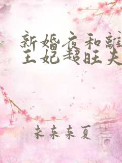 新婚夜和离替嫁王妃超旺夫