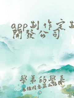 app制作定制开发公司