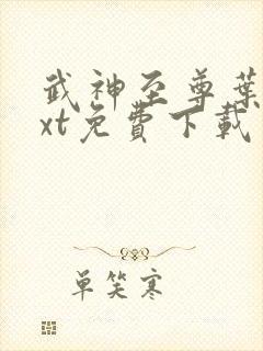 武神至尊叶风txt免费下载