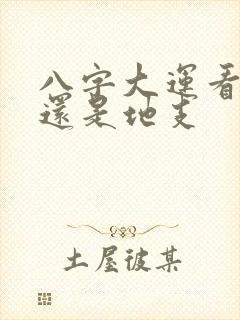 八字大运看天干还是地支