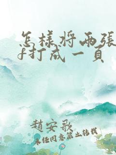 怎样将两张pdf打成一页