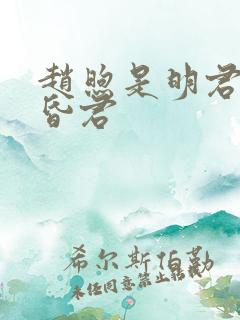 赵煦是明君还是昏君
