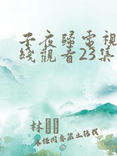 子夜归电视剧在线观看23集