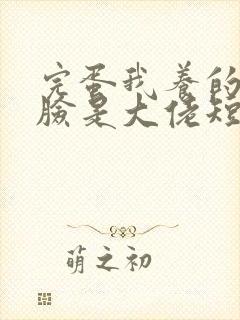 完蛋我养的小白脸是大佬短剧播放