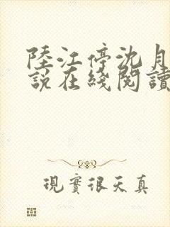 陆江停沈月溪小说在线阅读