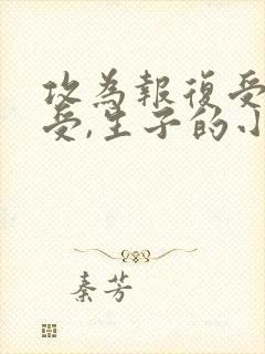攻为报复受娶了受,生子的小说