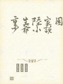 重生陆家团宠小少爷小说