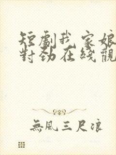 短剧我家娘子不对劲在线观看