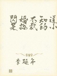闪婚不知道老公是总裁的小说