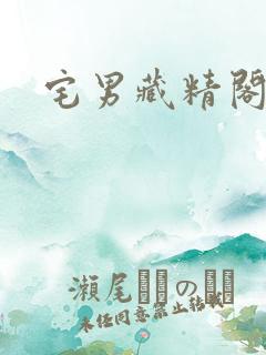宅男藏精阁
