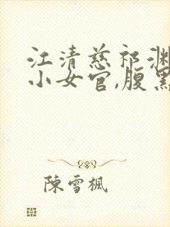 江清慈祁渊替身小女官,腹黑帝王沦陷了
