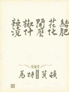 辣椒开花结果期浇什么化肥好