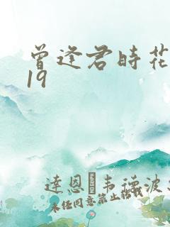 曾逢君时花照眼19