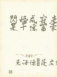 闪婚成宠老公竟是千亿富豪