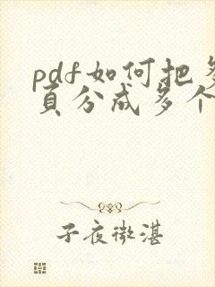 pdf如何把多页分成多个文件