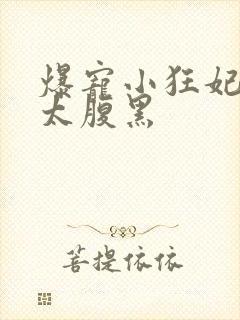 爆宠小狂妃皇叔太腹黑