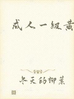 成人一级黄色带