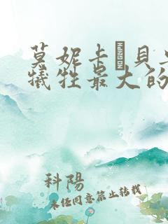 莫妮卡·贝鲁奇牺牲最大的电影是哪一部?