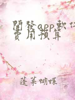 开发app软件费用预算