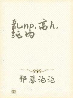 乱np,高h,纯肉