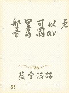哪里可以免费观看岛国av