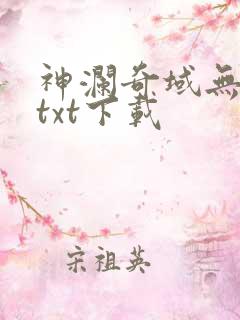 神澜奇域无双珠txt下载