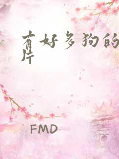 有好多狗的动画片