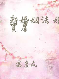 新婚姻法 婚前买房